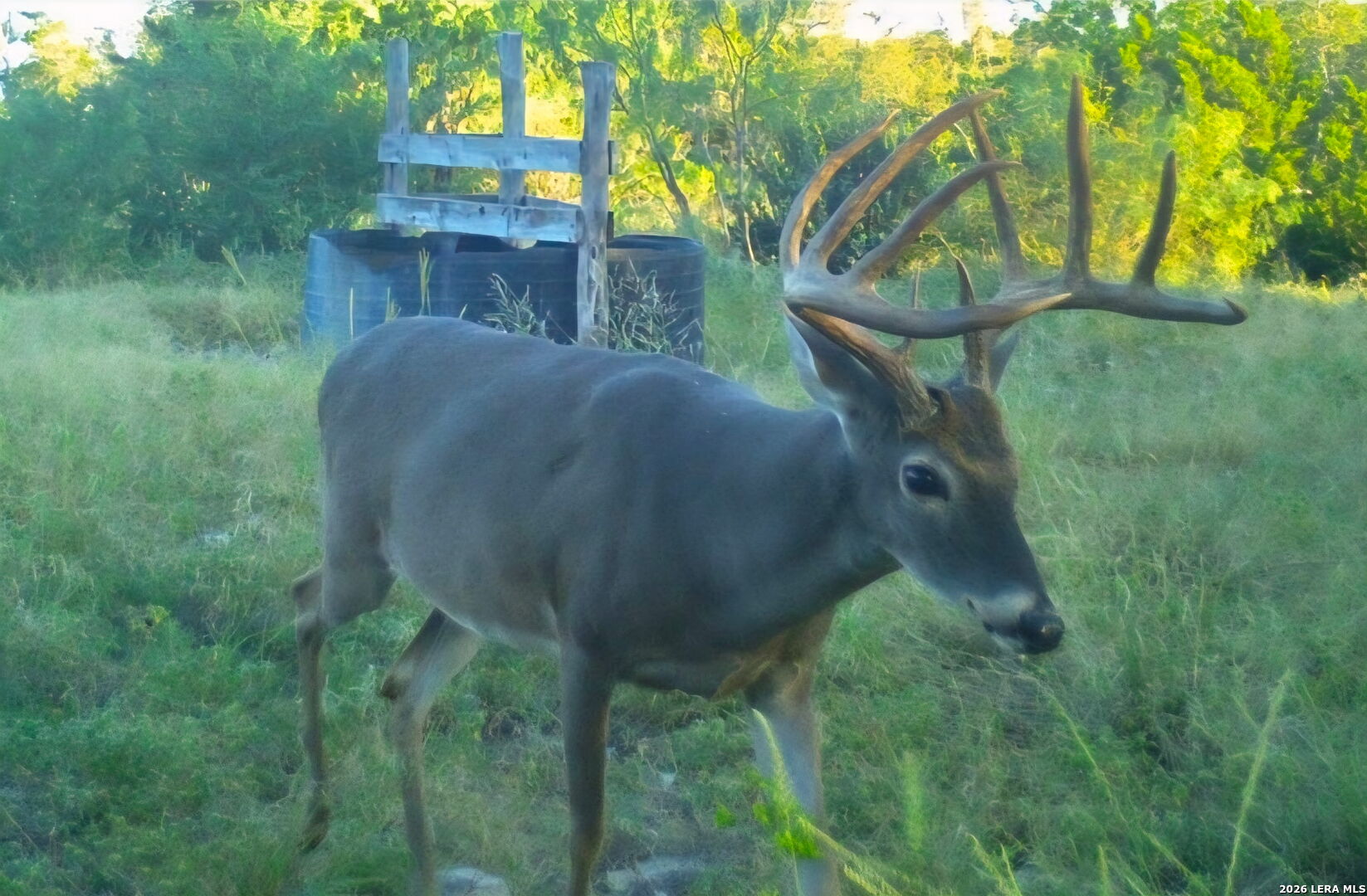 Tbd Farm To Market 1796 Dhanis TX 78860