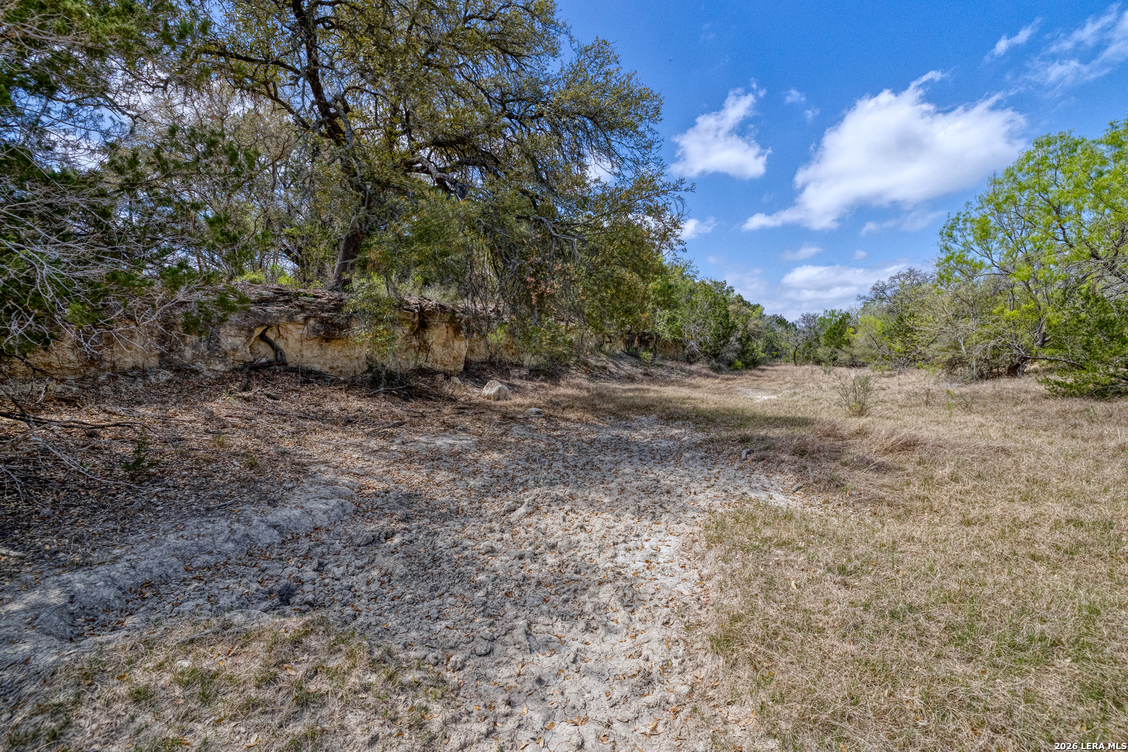 Tbd Farm To Market 1796 Dhanis TX 78860