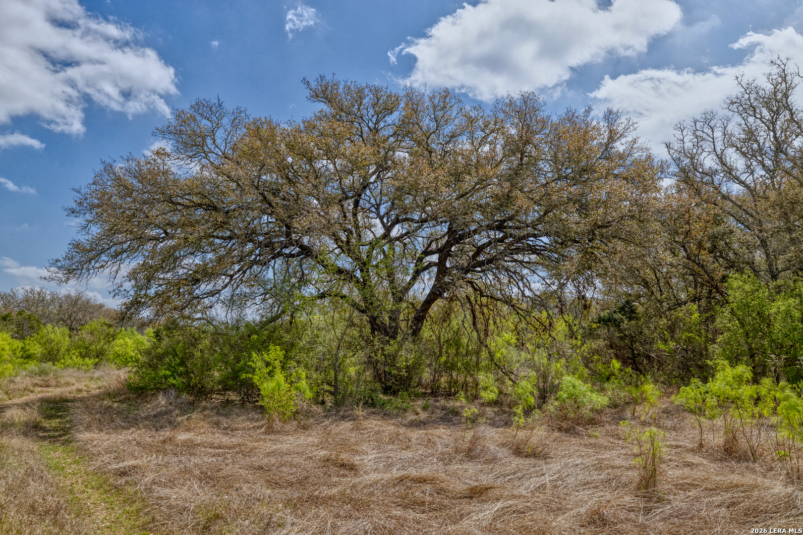 Tbd Farm To Market 1796 Dhanis TX 78860