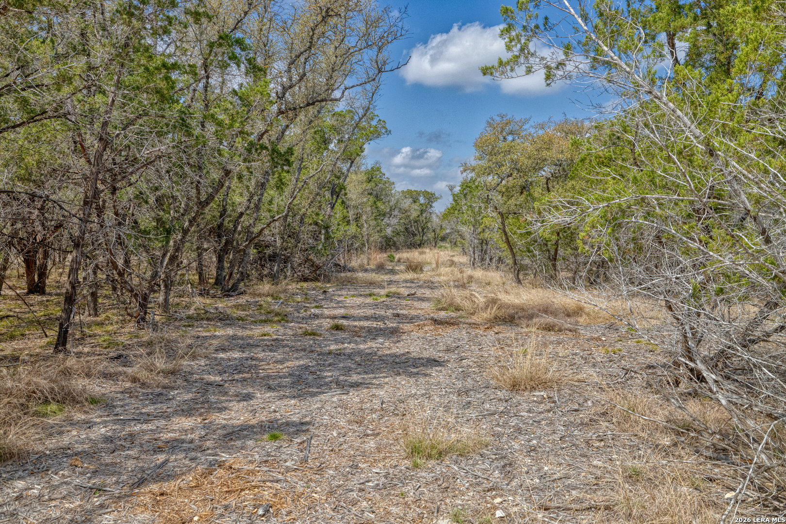 Tbd Farm To Market 1796 Dhanis TX 78860
