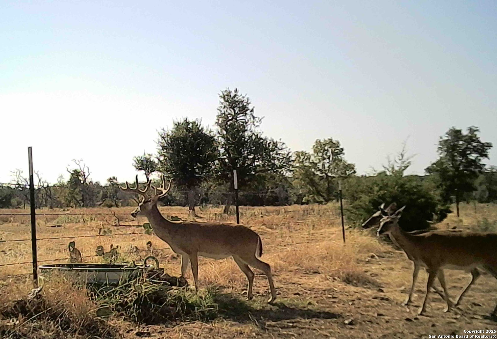 275 Starview Fredericksburg TX 78624
