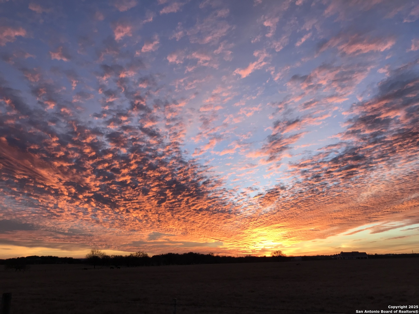 275 Starview Fredericksburg TX 78624