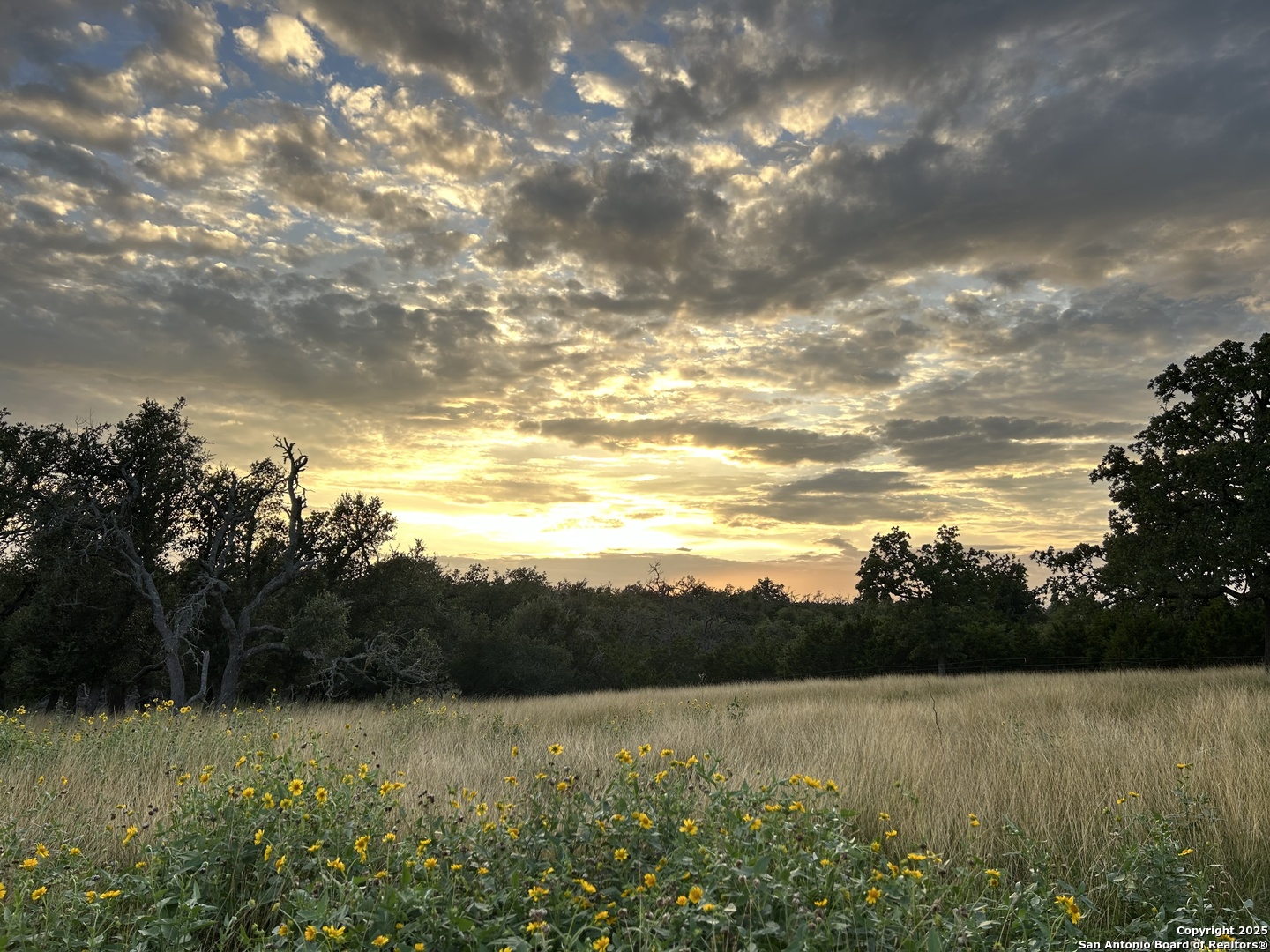 275 Starview Fredericksburg TX 78624