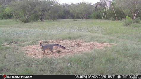 33309 Texas 55 Uvalde TX 78801