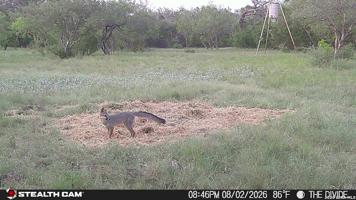 33309 Texas 55 Uvalde TX 78801
