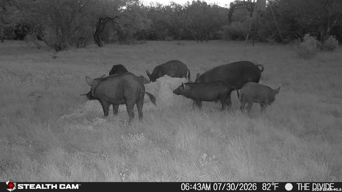 33309 Texas 55 Uvalde TX 78801
