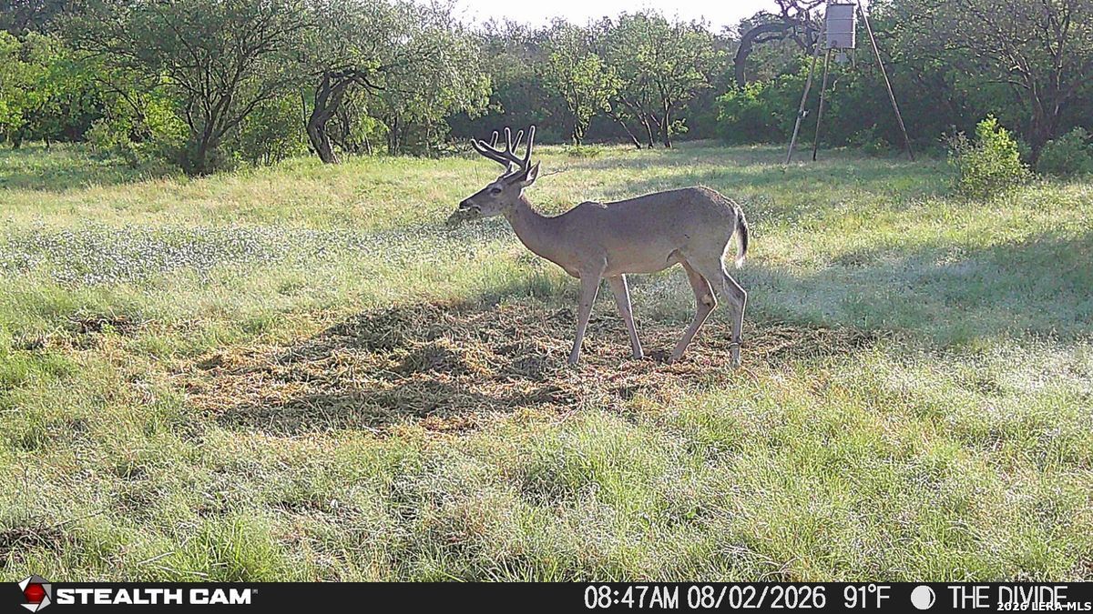 33309 Texas 55 Uvalde TX 78801
