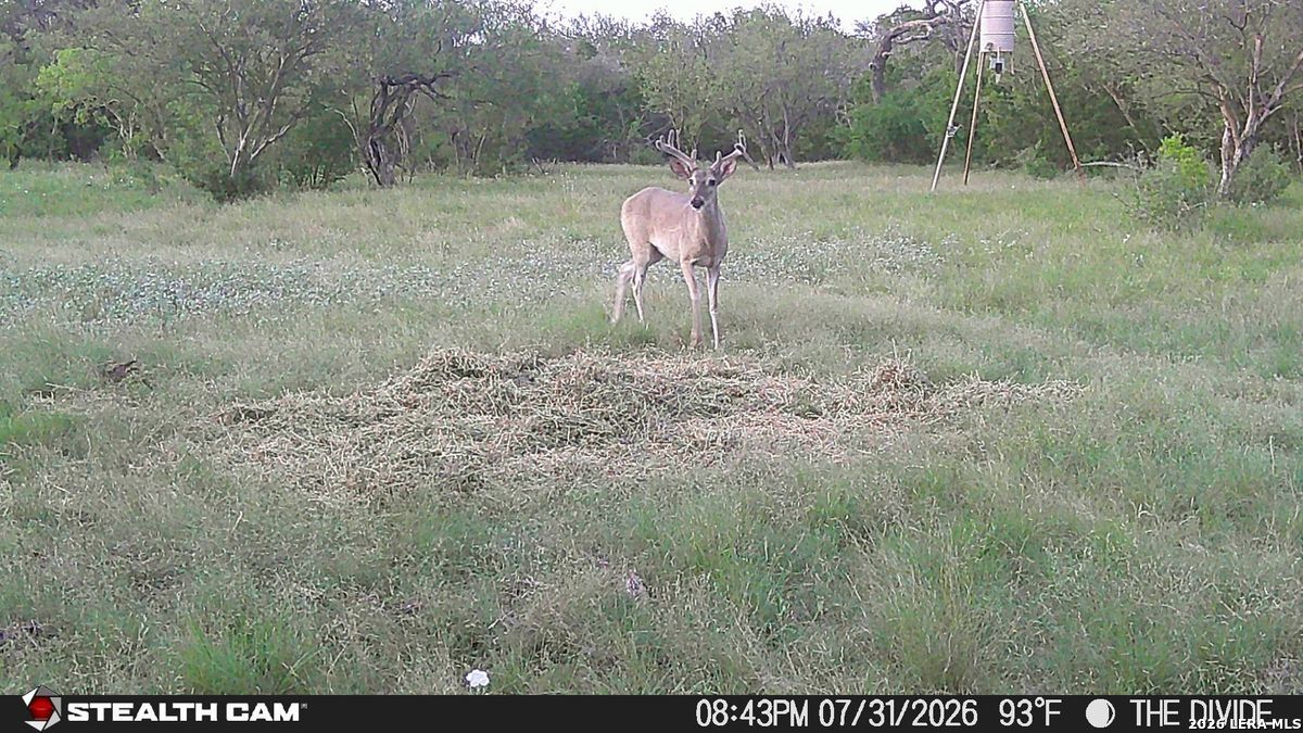 33309 Texas 55 Uvalde TX 78801