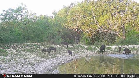 33309 Texas 55 Uvalde TX 78801