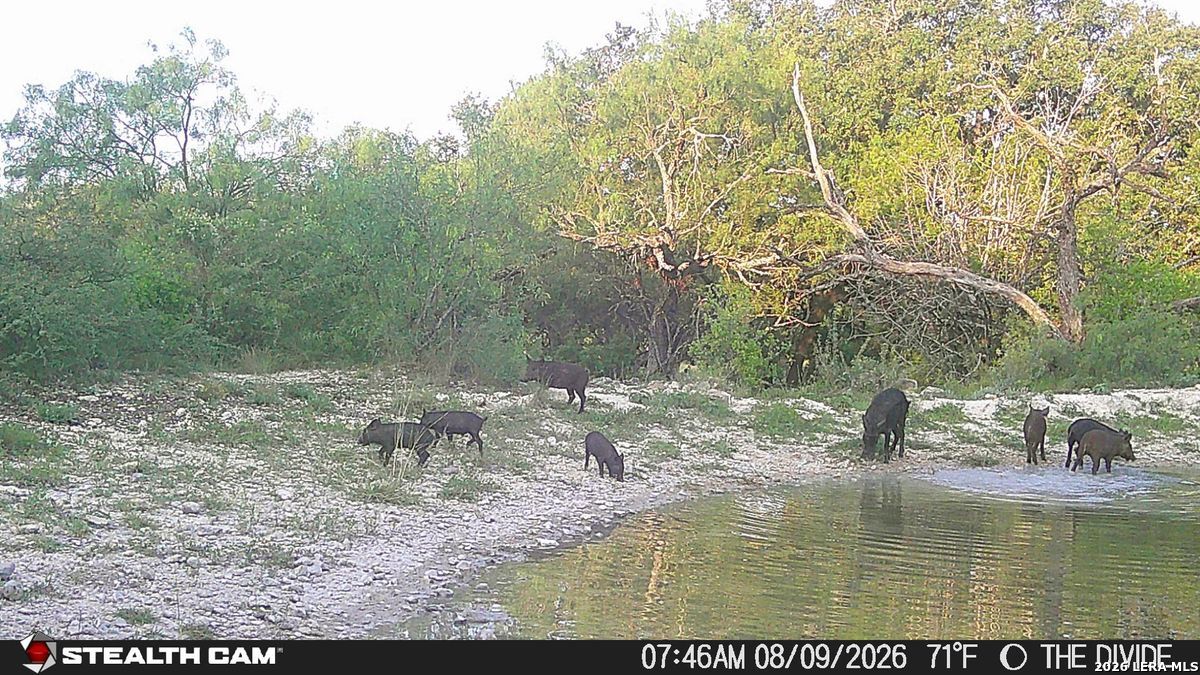 33309 Texas 55 Uvalde TX 78801