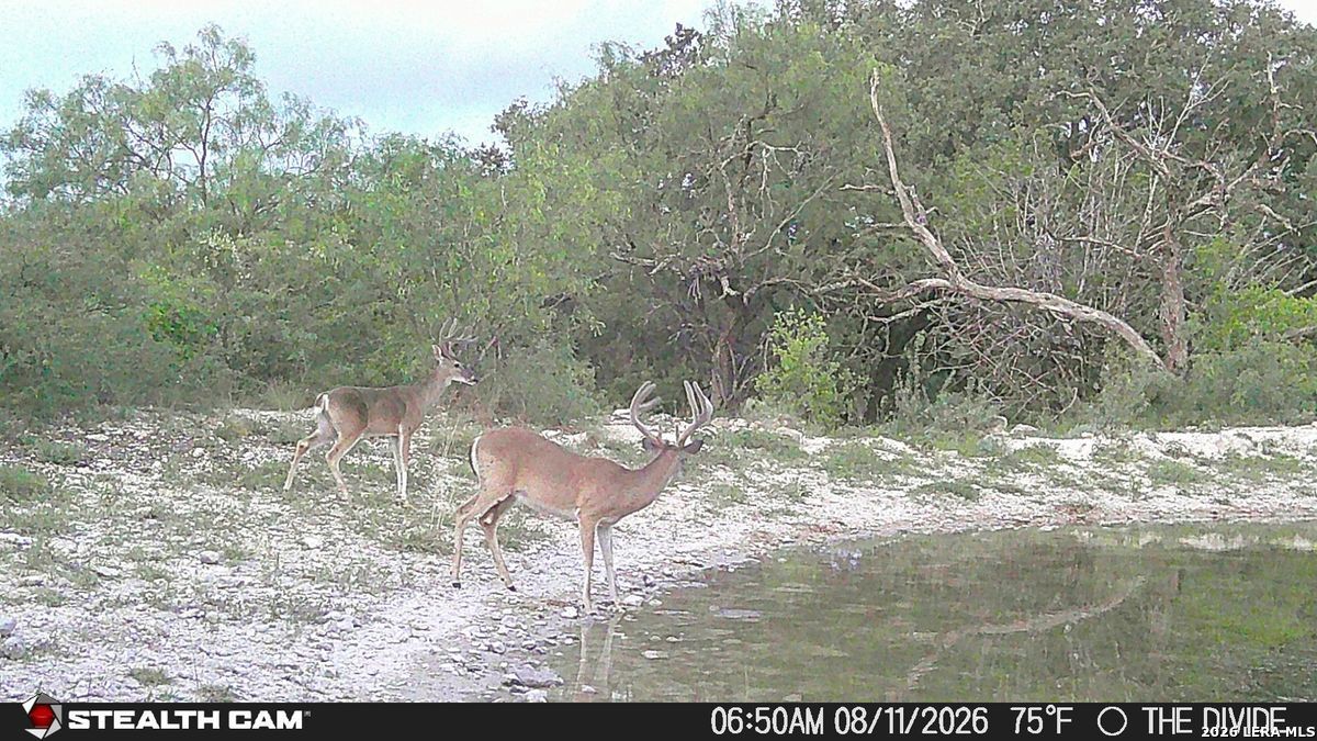33309 Texas 55 Uvalde TX 78801