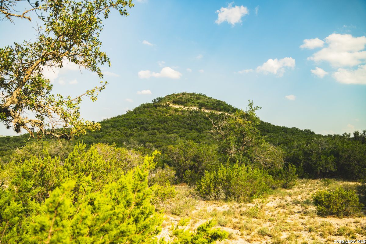 33309 Texas 55 Uvalde TX 78801