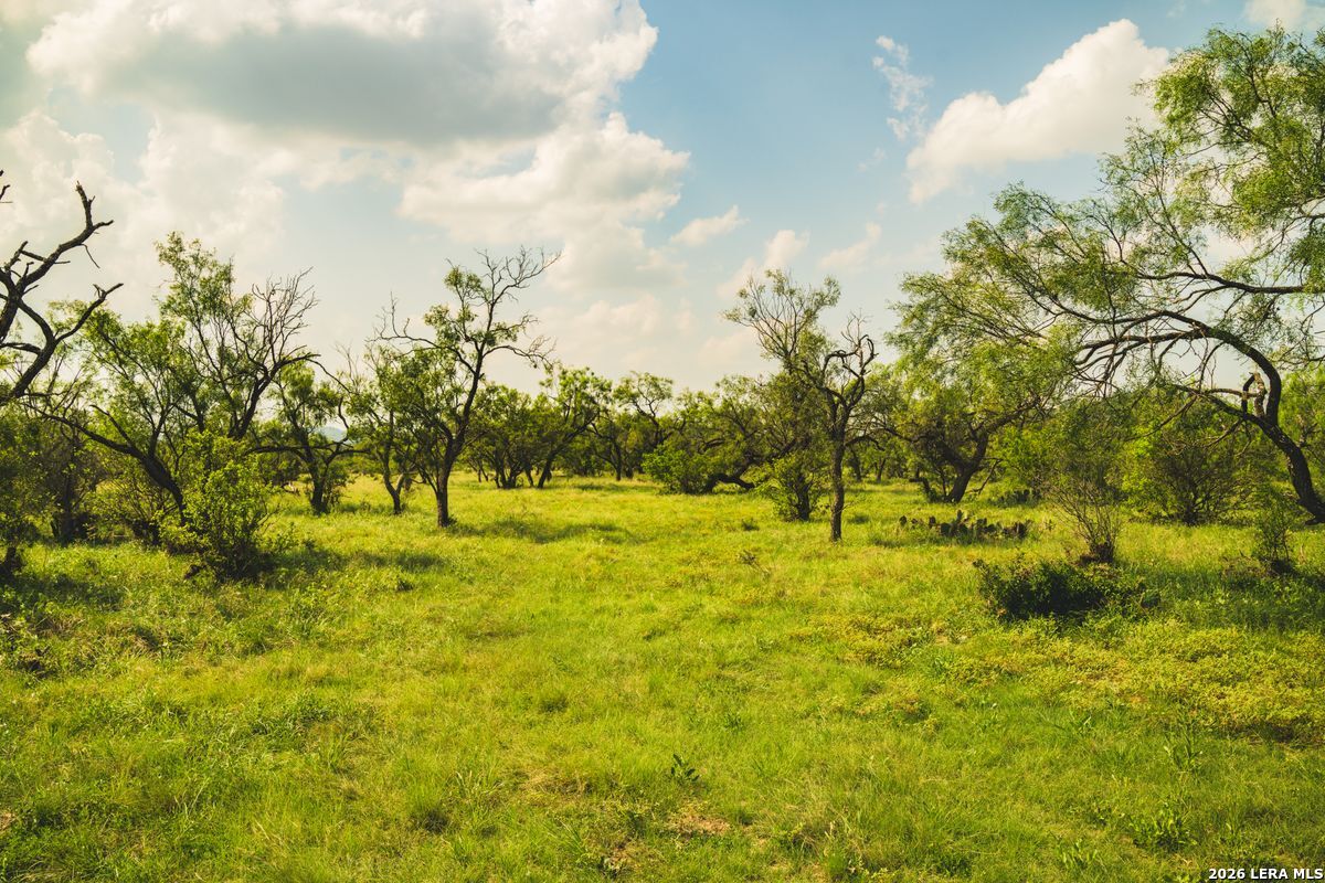 33309 Texas 55 Uvalde TX 78801
