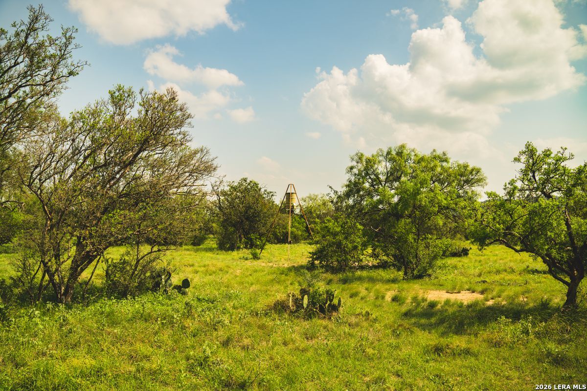 33309 Texas 55 Uvalde TX 78801