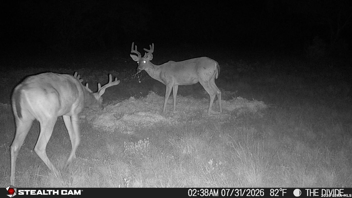 33309 Texas 55 Uvalde TX 78801
