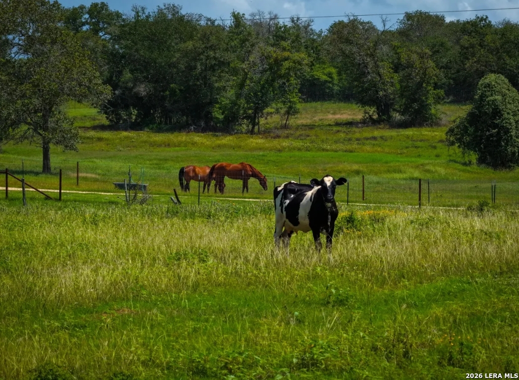 000 Cr 259 Gonzales TX 78629