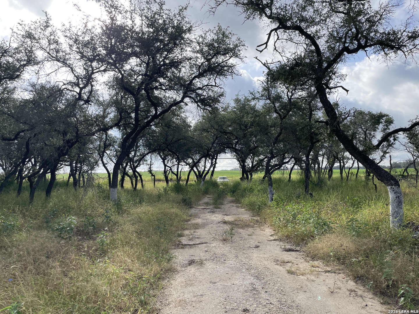 1742 County Road 777 Devine TX 78016