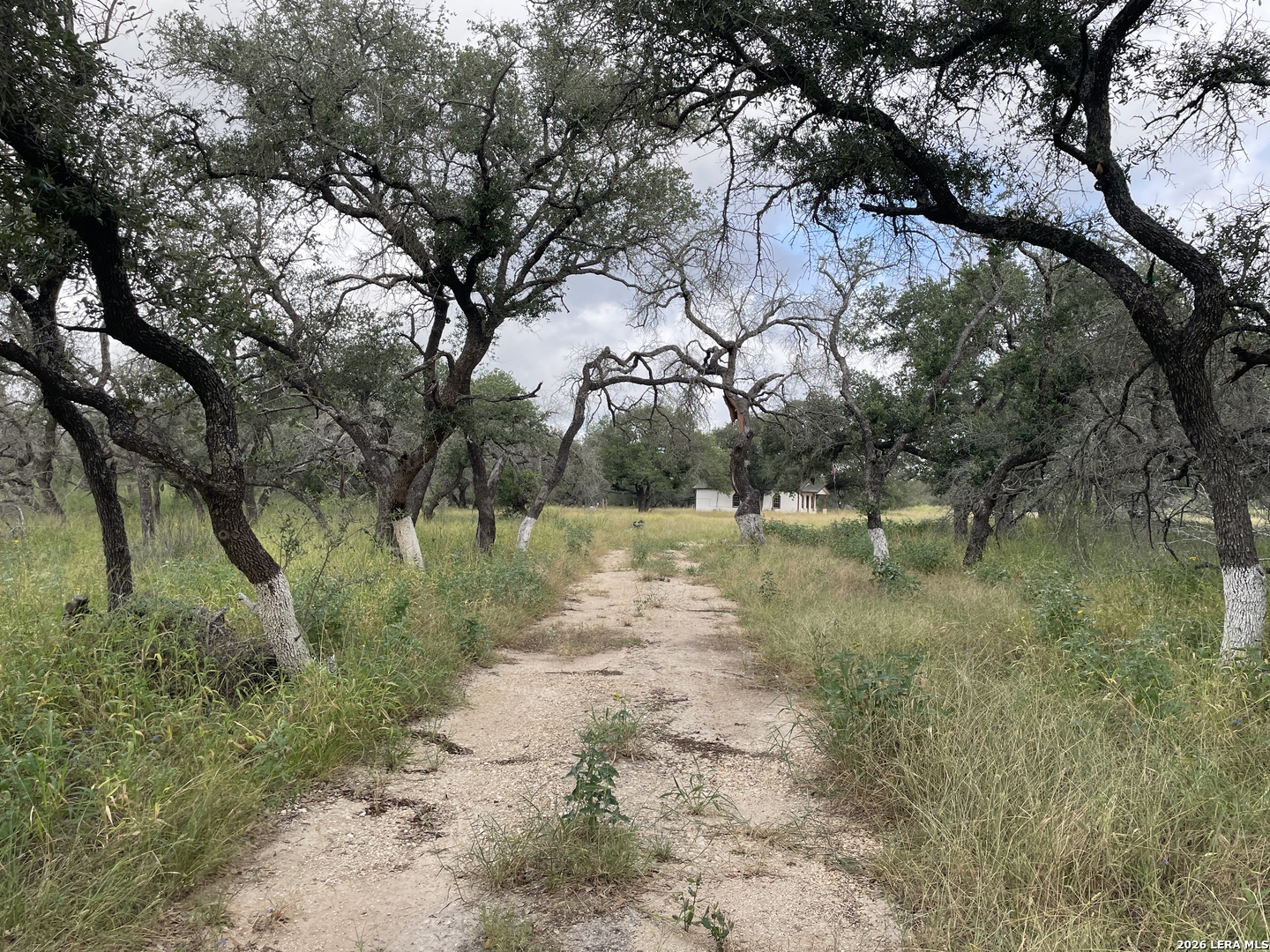 1742 County Road 777 Devine TX 78016
