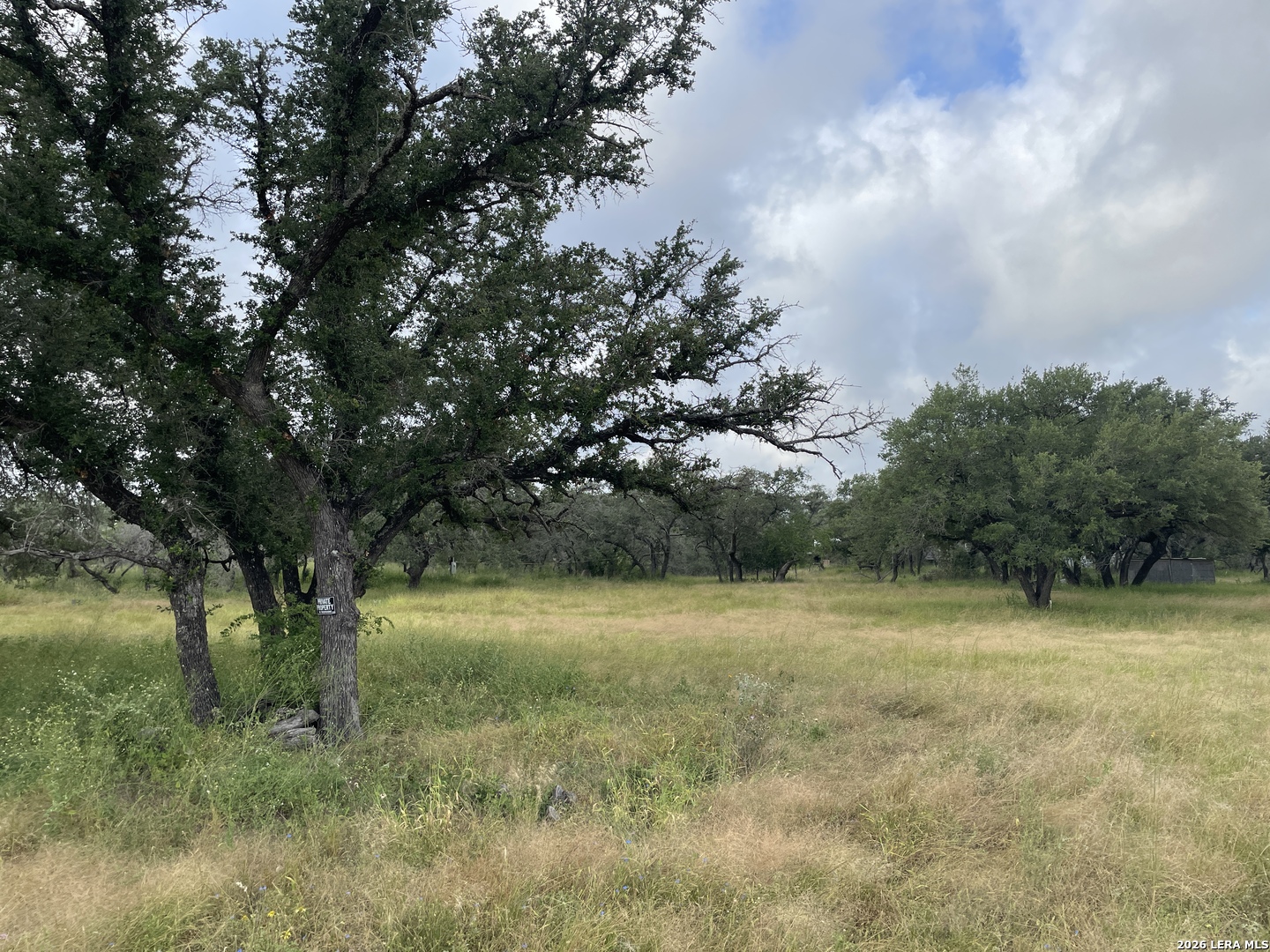1742 County Road 777 Devine TX 78016