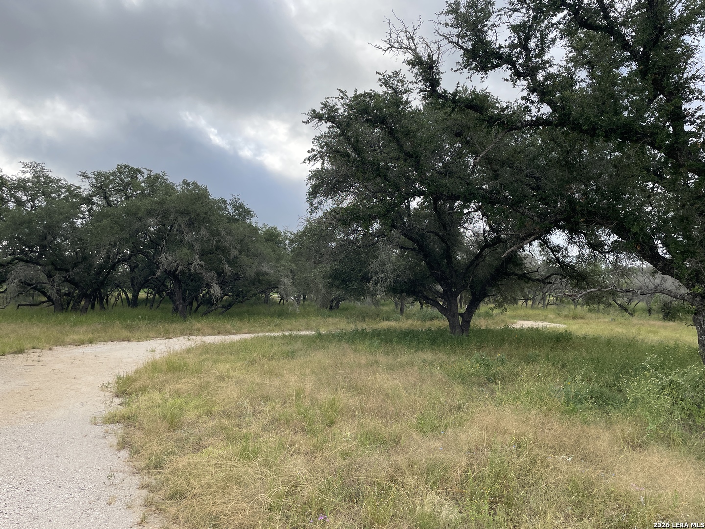 1742 County Road 777 Devine TX 78016
