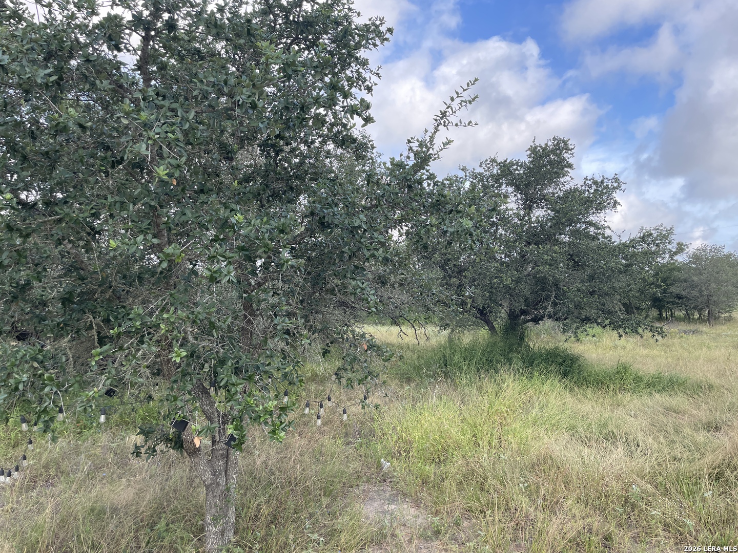 1742 County Road 777 Devine TX 78016
