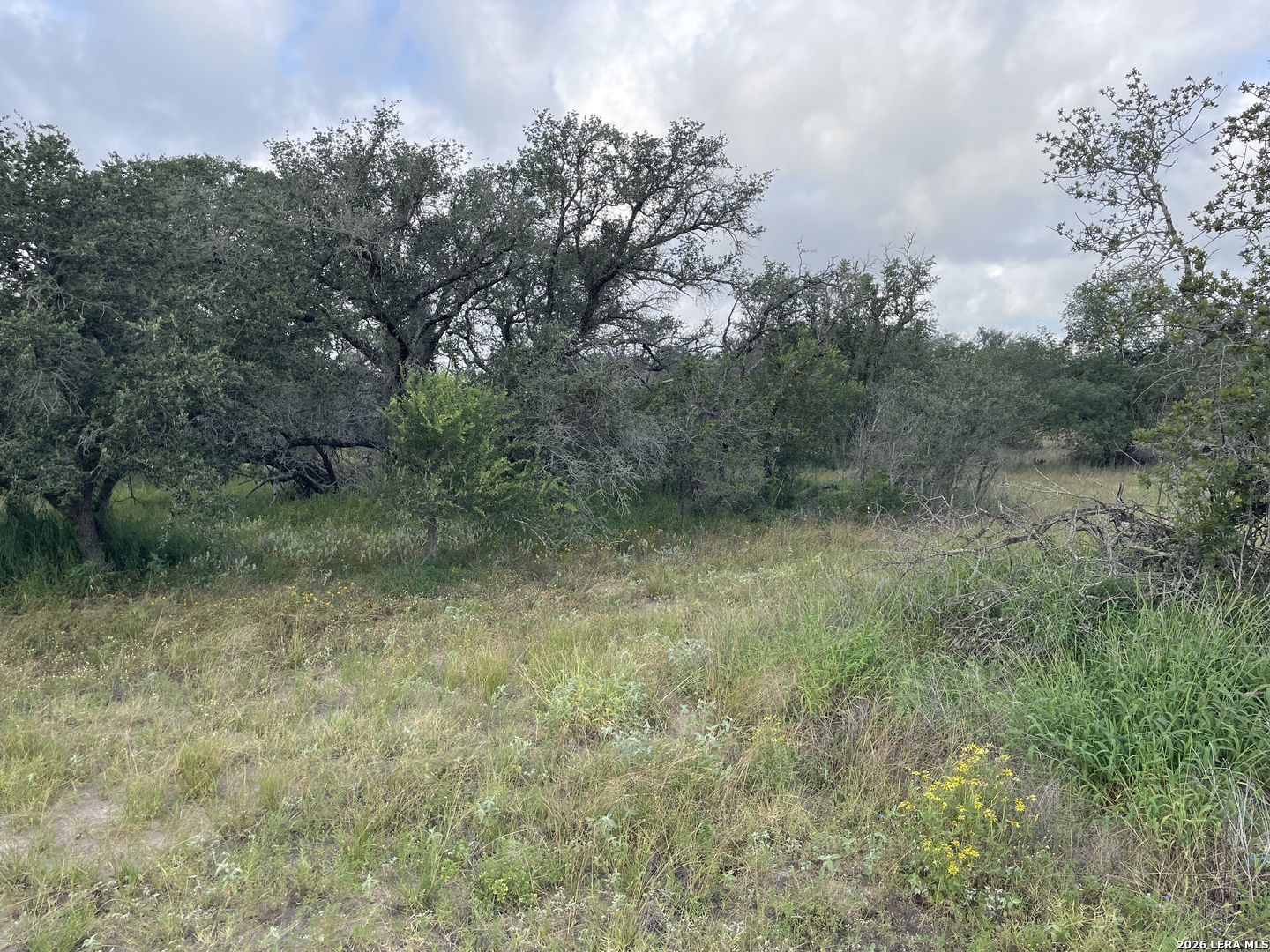 1742 County Road 777 Devine TX 78016