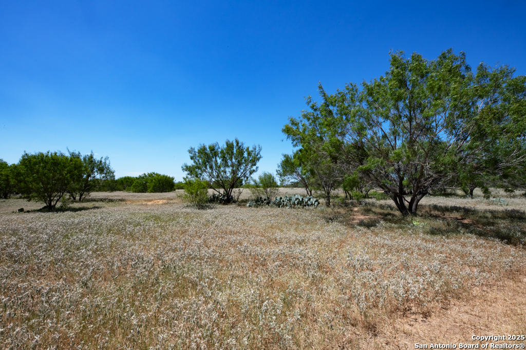 19217 Applewhite San Antonio TX 78264