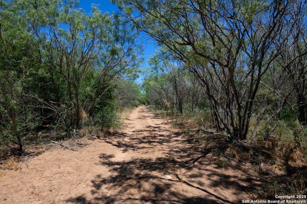 19217 Applewhite San Antonio TX 78264