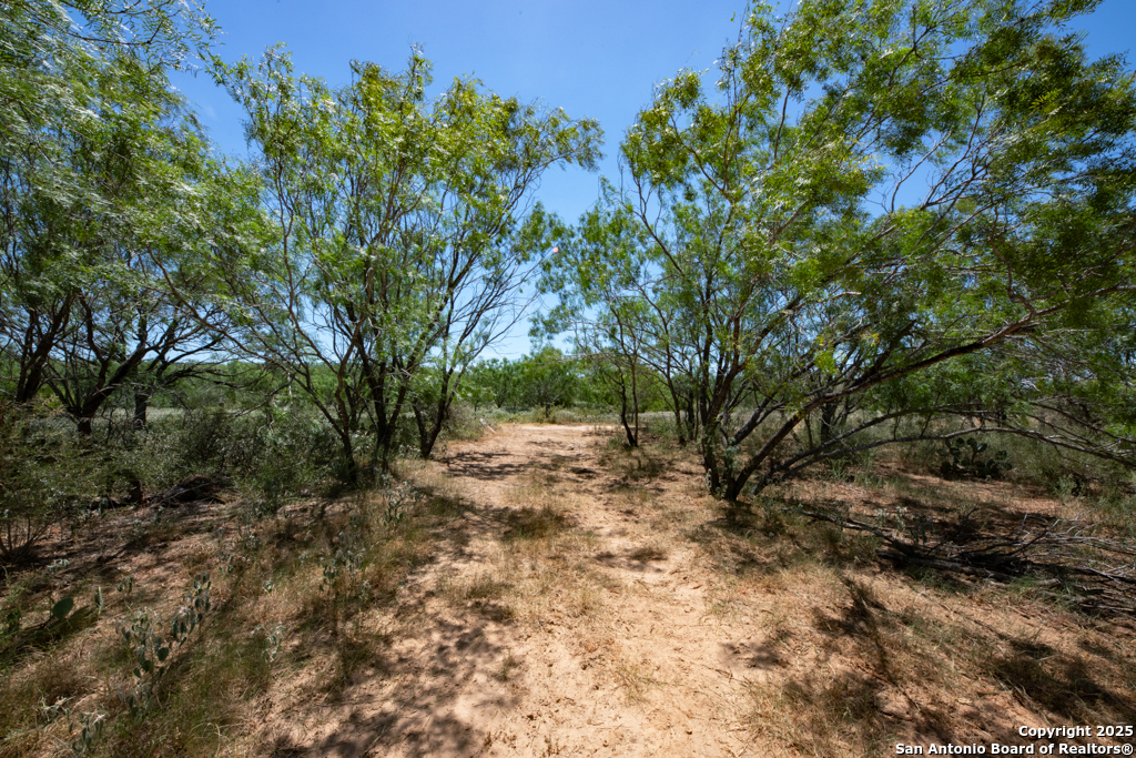 19217 Applewhite San Antonio TX 78264