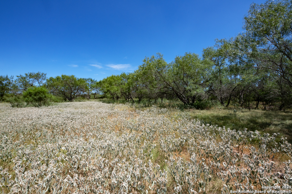 19217 Applewhite San Antonio TX 78264