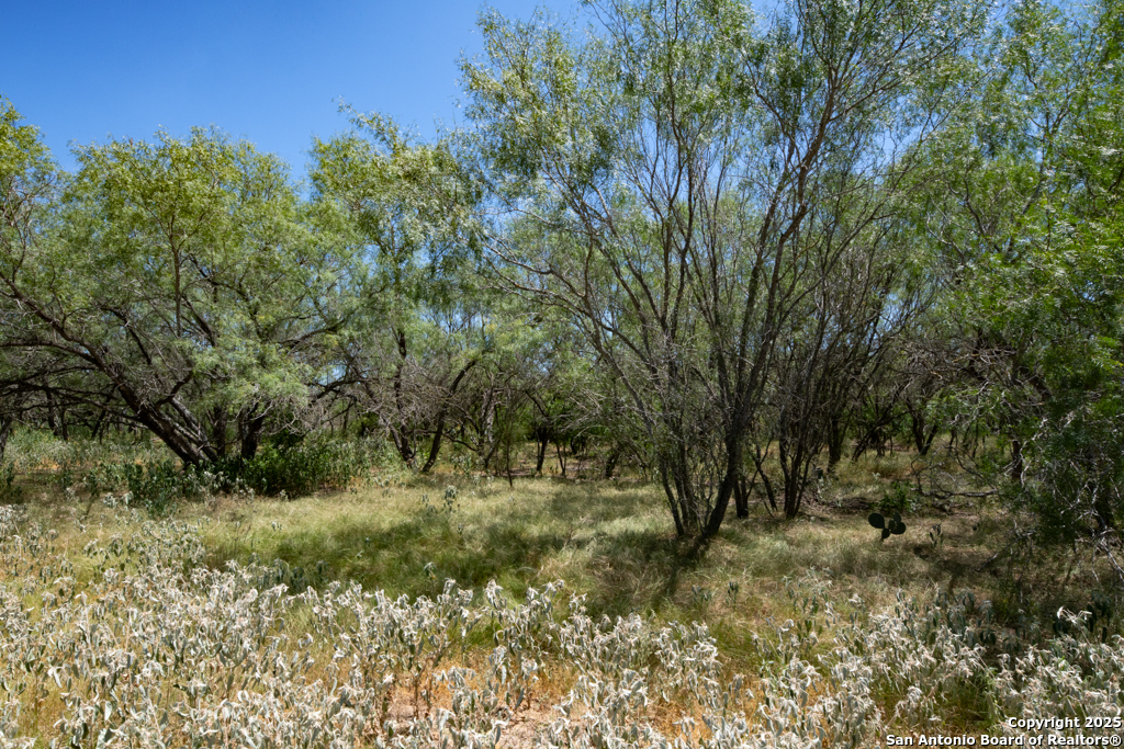 19217 Applewhite San Antonio TX 78264