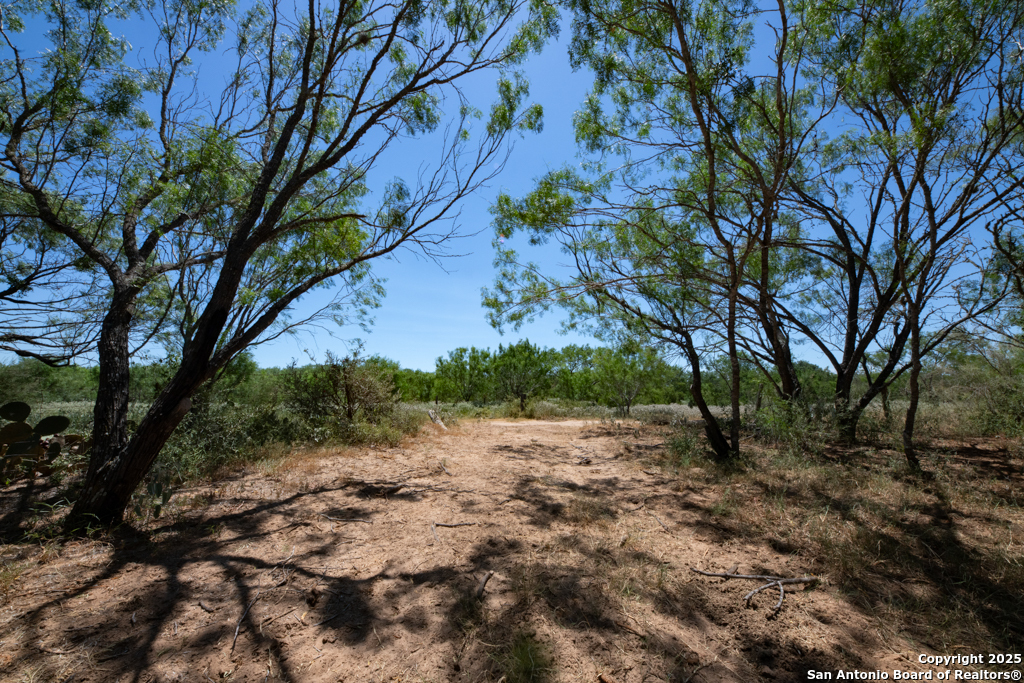 19217 Applewhite San Antonio TX 78264