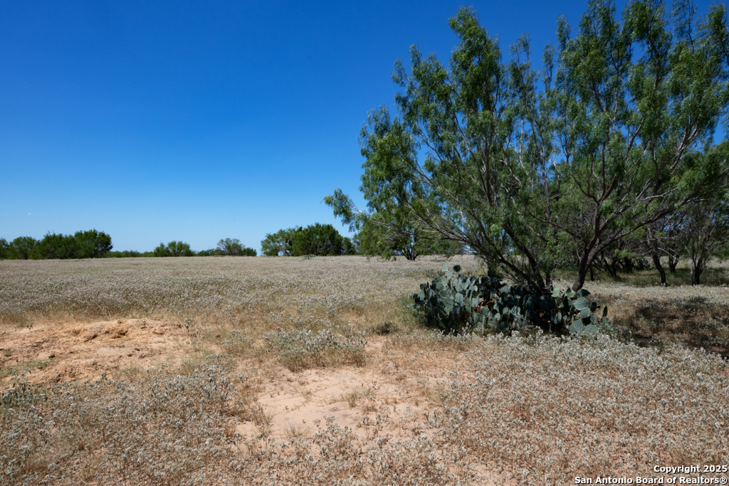 19217 Applewhite San Antonio TX 78264