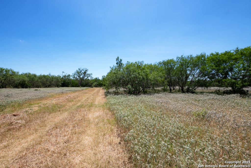 19217 Applewhite San Antonio TX 78264