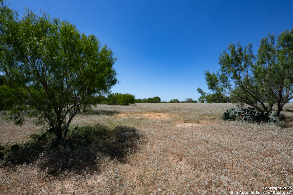 19217 Applewhite San Antonio TX 78264