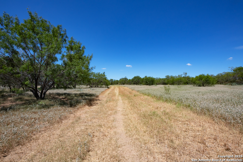 19217 Applewhite San Antonio TX 78264