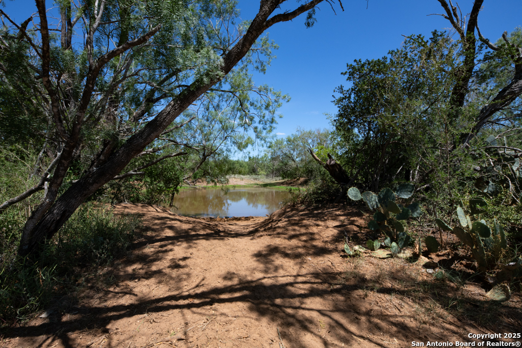 19217 Applewhite San Antonio TX 78264