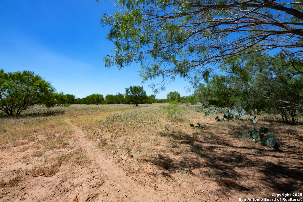 19217 Applewhite San Antonio TX 78264