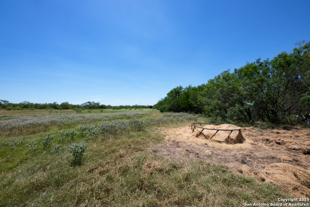 19217 Applewhite San Antonio TX 78264