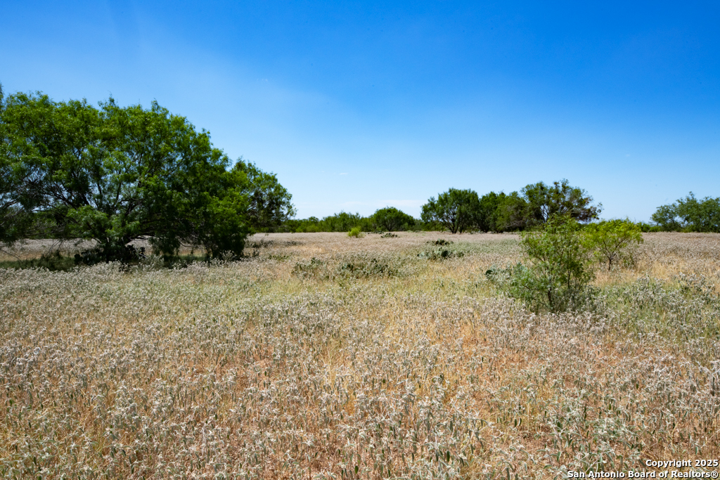 19217 Applewhite San Antonio TX 78264