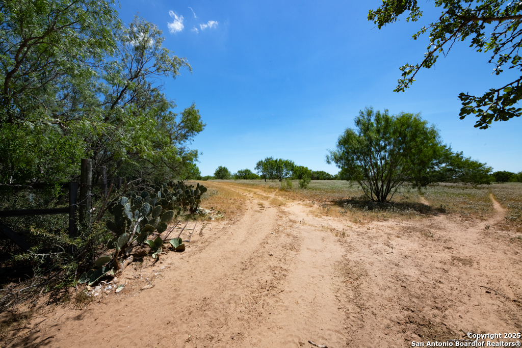 19217 Applewhite San Antonio TX 78264