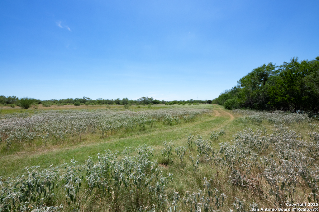 19217 Applewhite San Antonio TX 78264