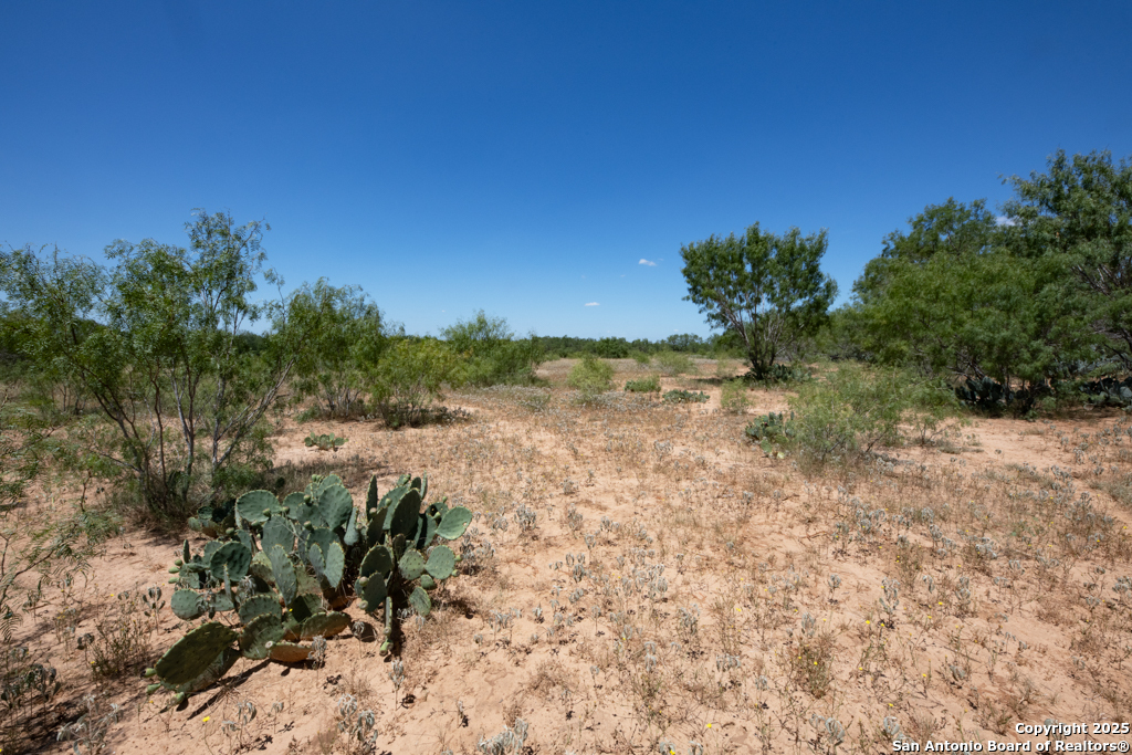 19217 Applewhite San Antonio TX 78264