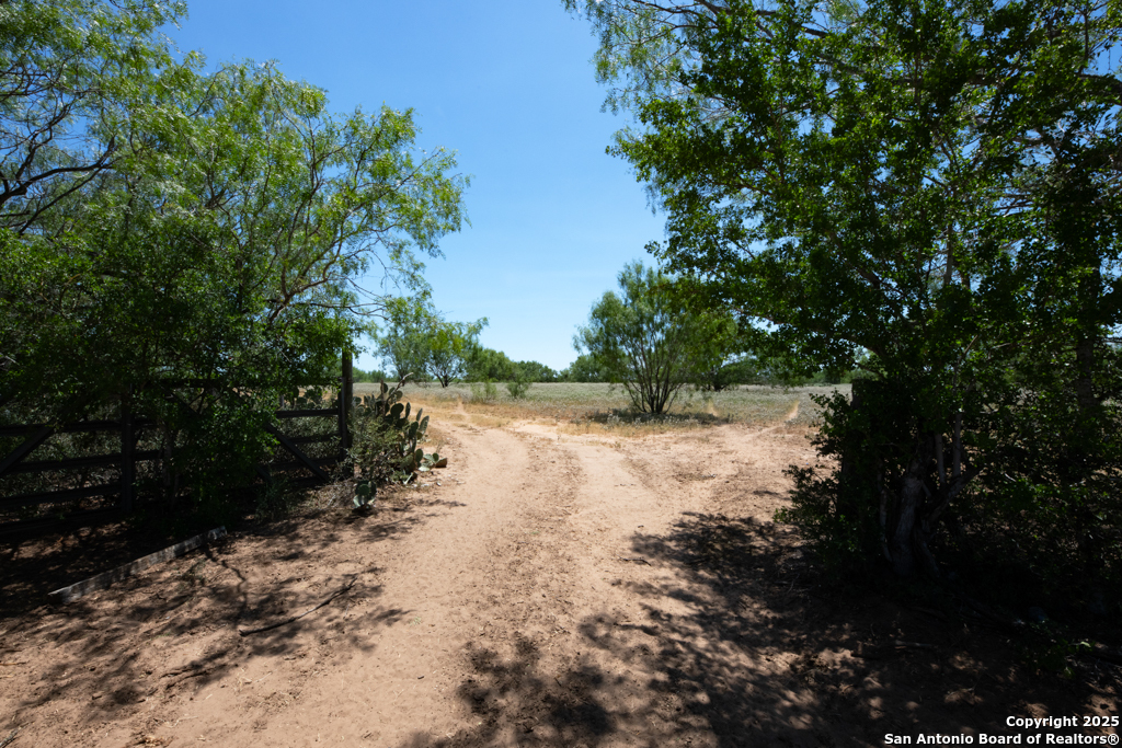 19217 Applewhite San Antonio TX 78264