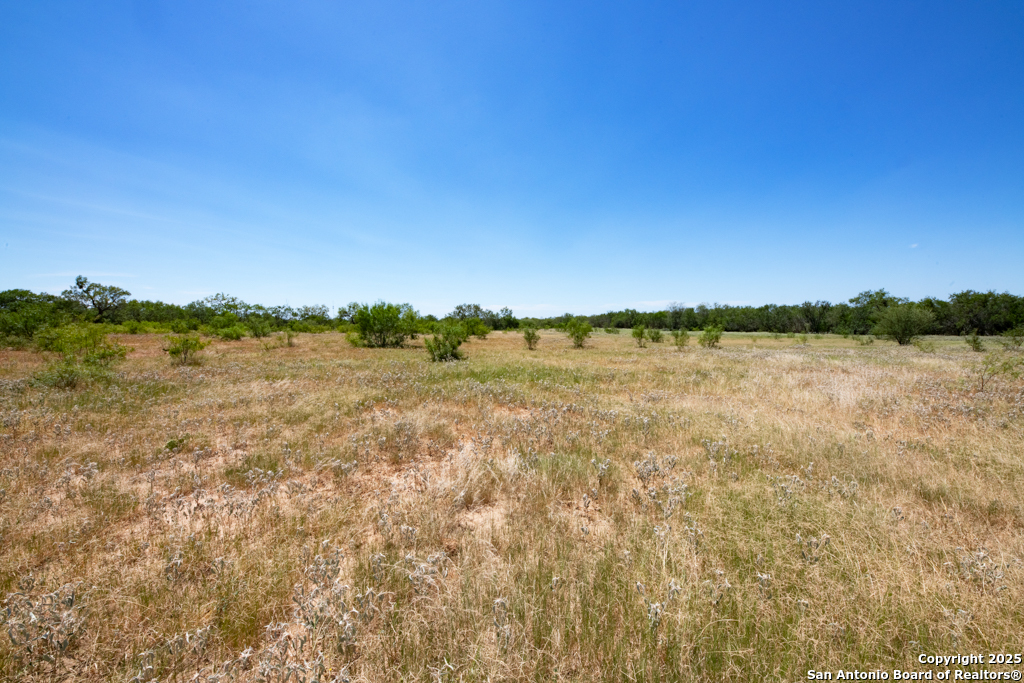 19217 Applewhite San Antonio TX 78264