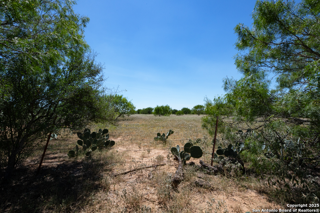 19217 Applewhite San Antonio TX 78264