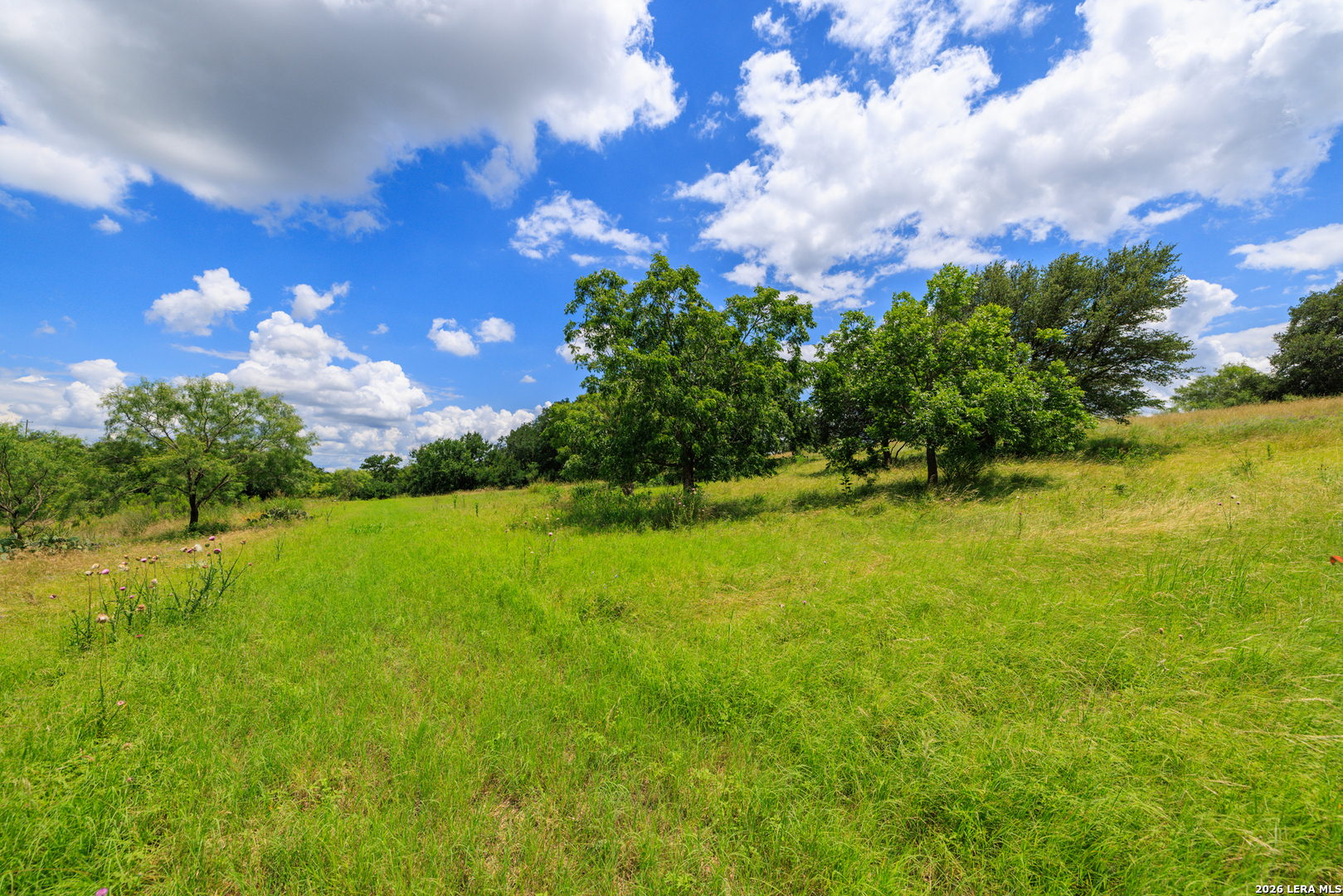 341 River View Road Fredericksburg TX 78624