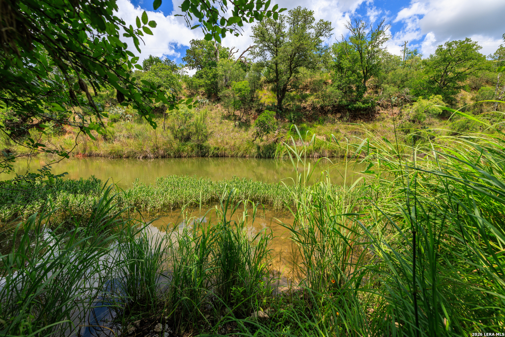 341 River View Road Fredericksburg TX 78624