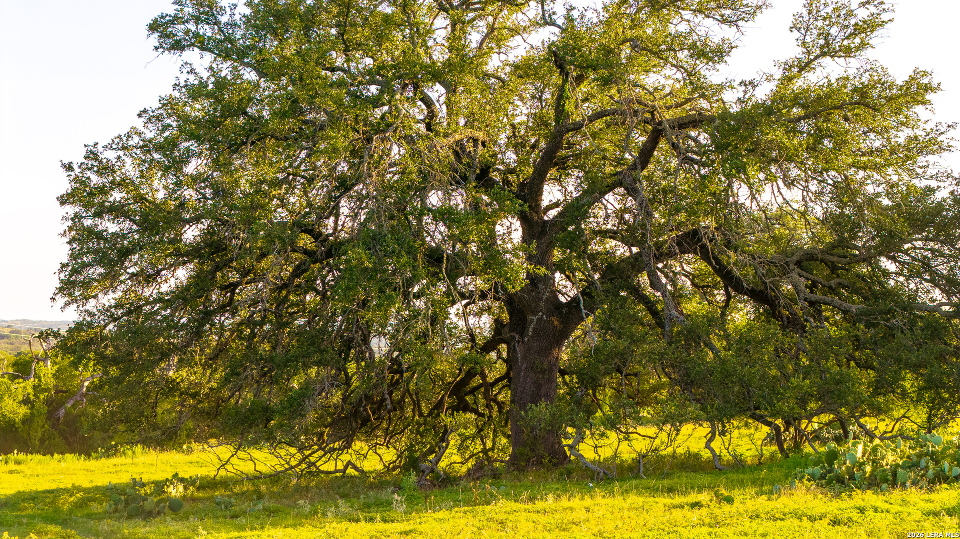 552+/- Acres Robinson Road Johnson City TX 78636