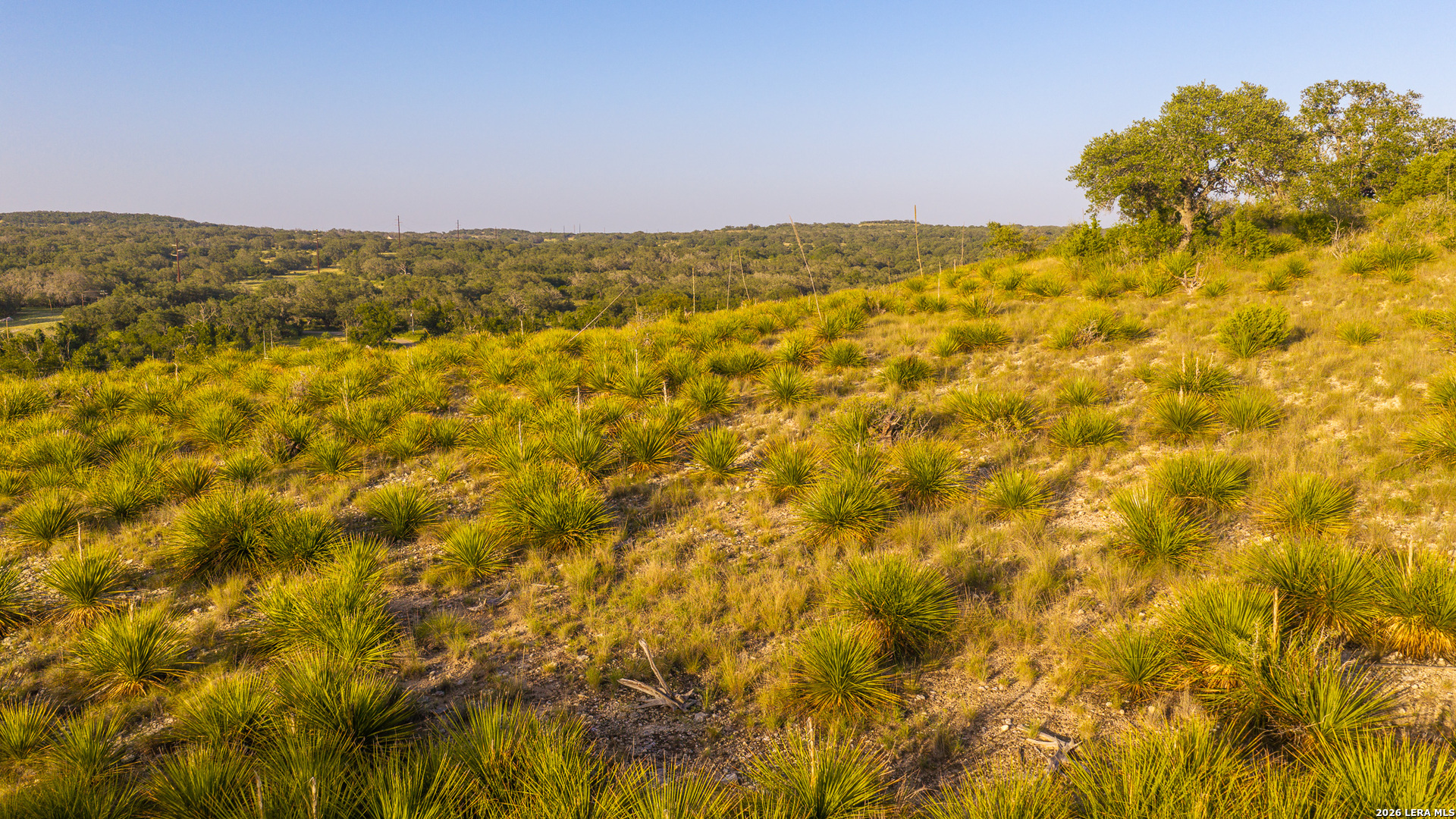 552+/- Acres Robinson Road Johnson City TX 78636
